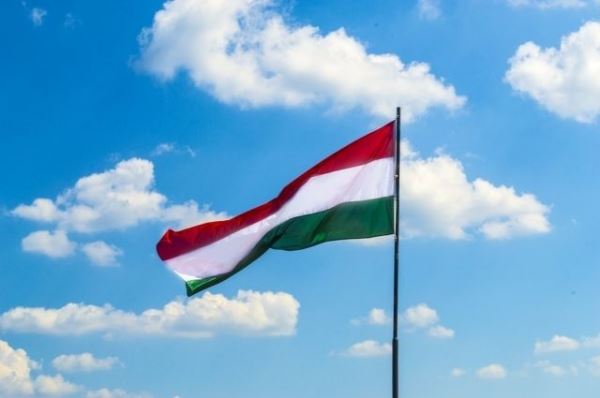 В Венгрии заявили, что девять стран открыли счета для оплаты газа из РФ